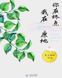 你在终点,我在原地