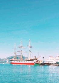 方舟有处可停泊(现言1v1)