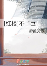 [红楼] 不二臣