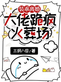 装乖离婚,大佬跪疯火葬场