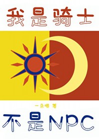 我是骑士,不叫NPC