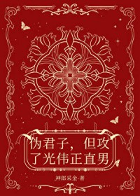 伪君子，但攻了光伟正直男