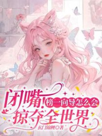 闭嘴!榜一向导怎么会掠夺全世界