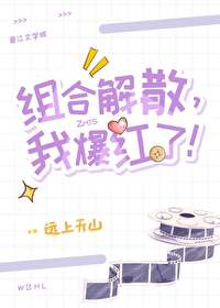 组合解散,我爆红了!