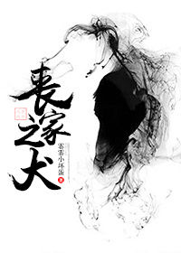 丧家之犬(重生)