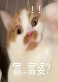 凋零与开败(亲母男)