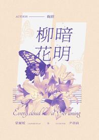 柳暗花明(短篇)