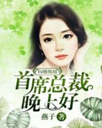 闪婚绵绵:首席总裁,晚上好