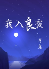 我入良夜(强取豪夺)