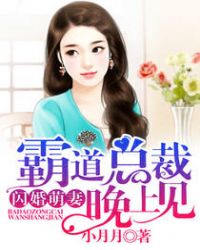 闪婚萌妻:霸道总裁晚上见!