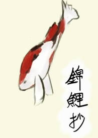 锦鲤抄 (BL)