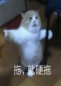 【西幻】魅魔成长日记(np)