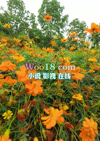 乱花迷人眼(高干 NP)