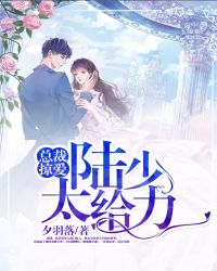 总裁掠爱:陆少,太给力