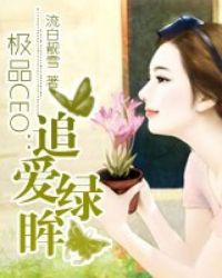 极品CEO:追爱绿眸