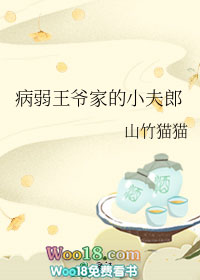 病弱王爷家的小夫郎(穿越)
