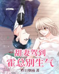 甜妻驾到:霍总别生气