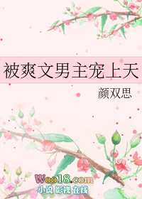 被爽文男主宠上天(穿越)