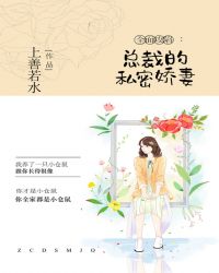 全面攻陷:总裁的私密娇妻