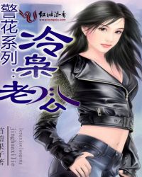 警花系列:冷枭老公