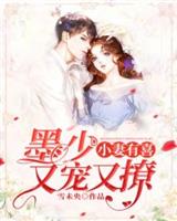 小妻有喜:墨少又宠又撩
