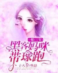 一胎三宝:黑客妈咪带球跑