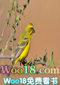 残王的笼中雀(1v1 甜宠 HE)