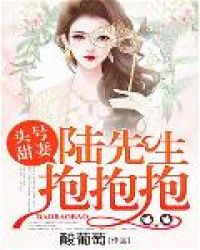 头号甜妻:陆先生抱抱抱