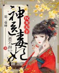 权宠天下:神医毒妃惹不得