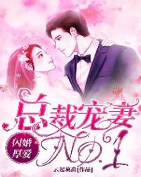 闪婚厚爱:总裁宠妻NO