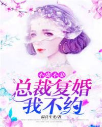 不离不妻:总裁复婚我不约