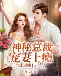 全球通缉:神秘总裁宠妻上瘾