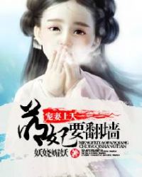 宠妻上天,萌妃要翻墙