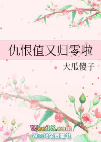 仇恨值又归零啦(穿越)