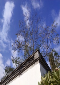 一念之间(骨科H)