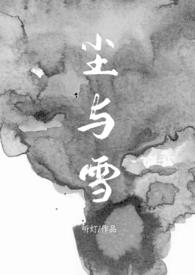 尘与雪(卧底,1V1)