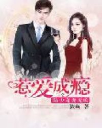 惹爱成瘾:陆少宠妻无度