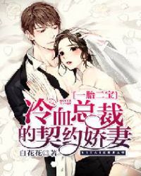 一胎二宝:冷血总裁的契约娇妻