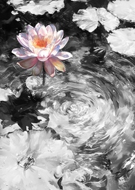 梦荷(悬疑np公路文)