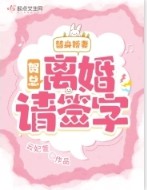 替身娇妻:贺总,离婚请签字