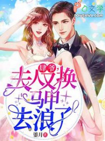 肆爷,夫人又换马甲去浪了