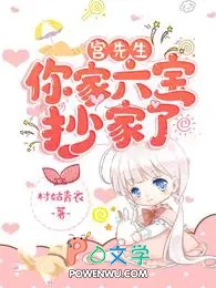 宫先生,你家六宝抄家了