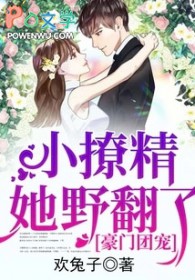 豪门团宠:小撩精她野翻了