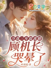 冷落三年提离婚,顾机长哭晕了