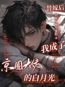 替嫁后,我成了京圈大佬的白月光