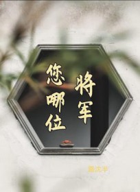 将军,您哪位